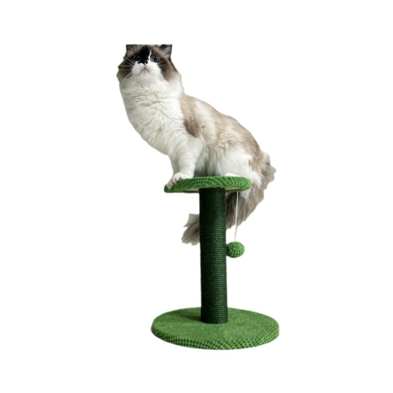Platform memanjat kucing kayu