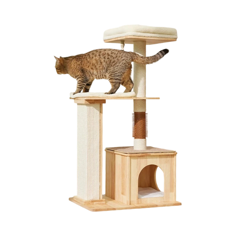 Rumah bingkai bermain dalam kucing